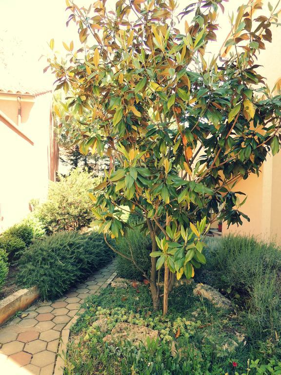 Stoja Apartment Pula Ngoại thất bức ảnh